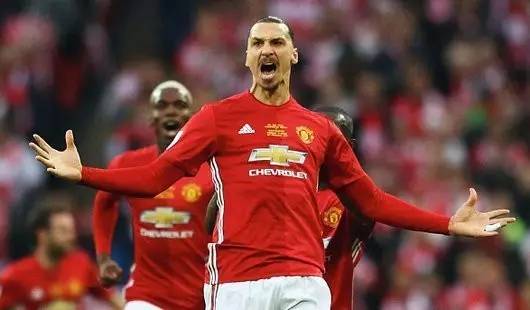 這一決定主 這一決定主